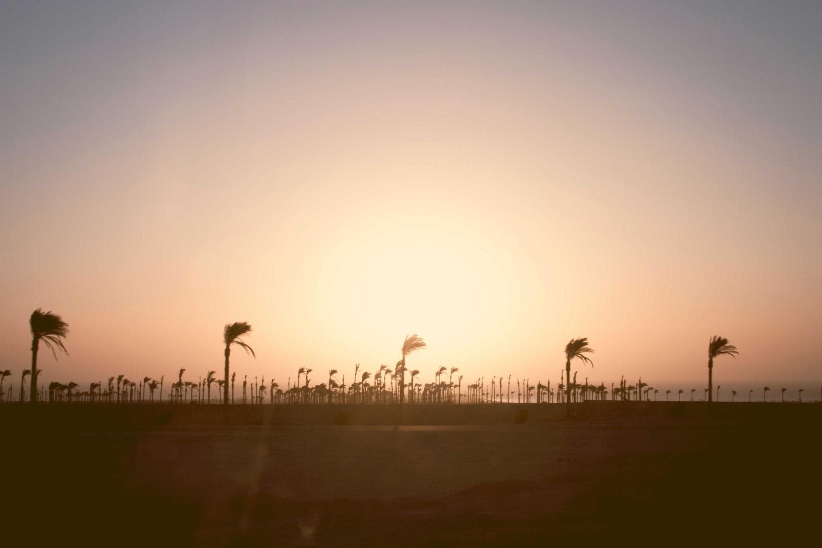 Oasis River House's view of the Main Fork of the Kaweah River in Three Rivers, CA.